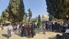 آغاز حضور فلسطینیان در مسجدالاقصی به مناسبت روز جهانی قدس