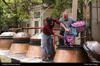 جشنواره گل و گلاب در میمند فارس