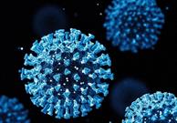 روند ابتلا به ویروس کرونا در لرستان رو به افزایش است