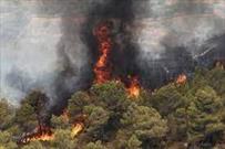 آتش سوزی در کمین جنگل های زاگرس/ تقویت تجهیزات اطفاء حریق ضروری است