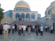 تعرض خاخام تندرو یهودی همراه با شهرک‌نشینان به مسجد الاقصی