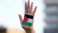 گزارش سازمان ملل: اسرائیل عامل اصلی تنش و درگیری در سرزمین‌های فلسطینی است