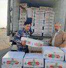 ۱۹۰۰ بسته گوشت قربانی دربین نیازمندان استان سمنان توزیع شد