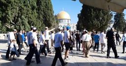 اهانت دیگر صهیونیست ها علیه مقدسات/ بالا بردن پرچم اسرائیل از مناره مسجد بیت لحم