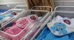 ۵۸۰۸ واقعه ولادت در کردستان به ثبت رسید