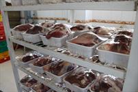 توزیع یک هزار و ۲۰۰ بسته گوشت قربانی در بین مدیران کانون های مساجد همدان