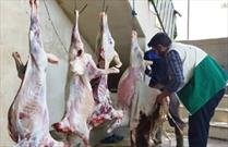 توزیع ۹۰بسته گوشت نذری بین نیازمندان میاندورودی