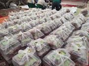 «پنج‌شنبه‌های مهرورزی» در گراش ادامه دارد؛ توزیع ۸ بسته معیشتی در سی‌وپنجمین مرحله طرح