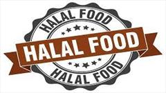 شکسته شدن رکورد جهانی سرمایه گذاری در صنعت غذای حلال تا سال ۲۰۲۴