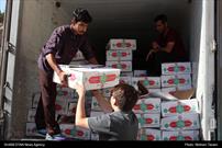 یک هزار و 200 بسته گوشت میان عزتمندان کمتربرخوردار استان فارس توزیع شد