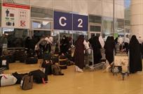 شمار زائران ایرانی در مدینه منوره به ۷ هزار نفر می رسد