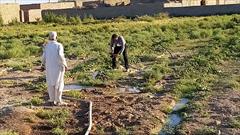 احداث۶۰حلقه چاهک کشاورزی در شهرستان زابل