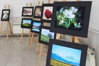 نمایشگاه عکس «طلوع» در آزادشهر برپا شد