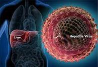 هپاتیت، شایع ترین علت سرطان کبد است/تشکیل بیش از ۳۰۰ پرونده فعال مبتلایان هپاتیت در کاشان