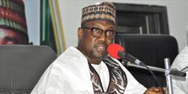 تقدیر از تلاش مسلمانان برای ایجاد صلح و هماهنگی در «نیجر»