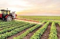 بالغ بر ۳۶ میلیون لیتر سوخت کشاورزی از ابتدای سالجاری در منطقه ارومیه به مصرف رسید