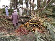 ١٨۵ میلیارد تومان برآورد اولیه خسارت بارندگی‌ به کشاورزان شهرستان لاشار