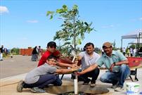 کاشت ۱۰۰۰ اصله درخت در بیرون مسجد «فورت مک موری» کانادا