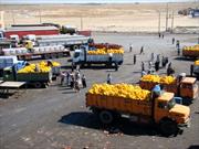 افزایش ۴۰ درصدی صادرات محصولات کشاورزی از مرز مهران به عراق