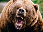 تکذیب حمله خرس به توریست‌های آذربایجانی در آستارا