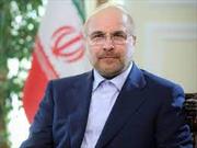 رئیس مجلس شورای اسلامی به لامرد سفر می کند