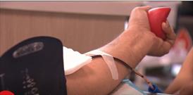 مسلمانان «کیوی» در صف مقدم کمپین بین المللی شکستن رکورد  اهدای خون در جهان