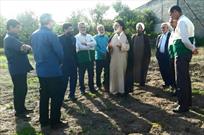 وقف ۲۴میلیارد ریالی به نیت امام رضا(ع) درقائم شهر