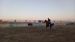 همایش اسب سواری «شو سواره»  با حضور ۴۰ سوارکار کشور در دیواندره برگزار شد