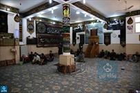 خدمت وصف نشدنی شیعیان قطیف به زائران اربعین حسینی در کربلا+عکس