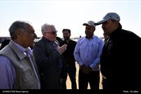 بازدید میدانی استاندار ایلام از پایانه مسافربری برکت در مرز مهران