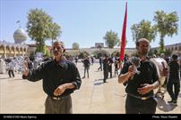 گزارش تصویری| عزاداری ۲۸ صفر در سومین حرم اهل بیت (ع) شیراز