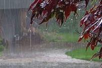 بارش‌های رگباری در راه گلستان/ احتمال آبگرفتگی معابر وجود دارد