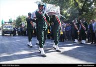 پرستوی مهاجر در جایگاه ابدیش آرام گرفت