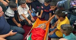 اتحادیه اروپا خواستار تحقیق در مورد شهادت کودک فلسطینی شد
