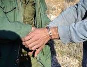 دستگیری هشت متخلف زیست محیطی در لرستان
