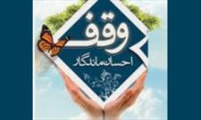 موقوفات اصفهان برای رفع نیازهای اجتماعی کارگشا بوده اند