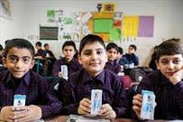 تغذیه رایگان بین ۴۷ هزار دانش آموز خراسان جنوبی توزیع می‌شود