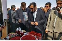 برنامه ریزی دولت برای معرفی توانمندی های بخش کشاورزی خراسان جنوبی