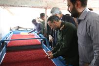 گزارش تصویری/ افتتاح کارگاه اشتغال خرد در خراسان جنوبی