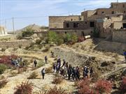 گزارش تصویری/ جشنواره ملی زرشک در روستای فورگ