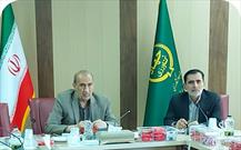 تولید محصولات گلخانه ای زمینه اشتغال ۵ هزار نفر را در سیستان و بلوچستان فراهم کرده است