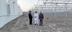 اولین مجتمع گلخانه‌ای شهرستان نیکشهر درحال احداث است