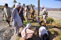 همراهی  ۱۰۰۰ مددکار ترویجی و تسهیلگر برای دستیابی کشاورزان به تولید اقتصادی در سیستان و بلوچستان
