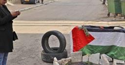اتحادیه اروپا خواستار تحقیق فوری در مورد شهادت نوجوان فلسطینی شد