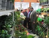 نمایشگاه تخصصی گل و گیاه در قرچک افتتاح شد