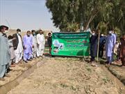 راه اندازی ۴ کانون جوانان روستایی و عشایری در جهاد کشاورزی سیستان و بلوچستان