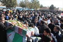 شمیم عطر یاس در دانشکده داروسازی کرمانشاه پیچید