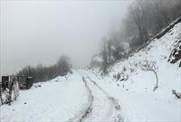 بارش برف در ارتفاعات و مناطق کوهستانی قزوین