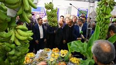 سازمان جهاد کشاورزی سیستان وبلوچستان  خوش درخشید