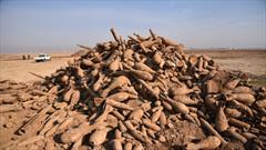 حشد شعبی عراق ۹۰۰۰ موشک و مواد منفجره باقی مانده از داعش  را از بین برد